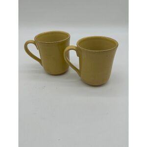 Casa Stone Madeira Harvest Mug Set of 2 Hand Painted Portugal Brown